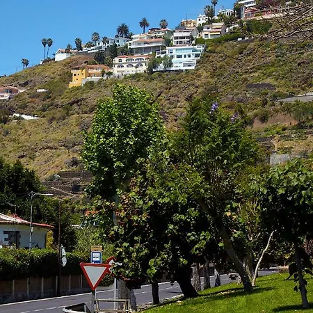 Сasa de vacaciones Olivos - Vivienda Vacacional De Lujo Con Piscina Privada *